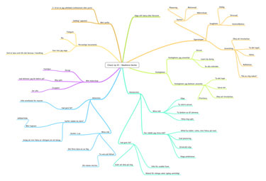 Madelene Norbo's mindmap.